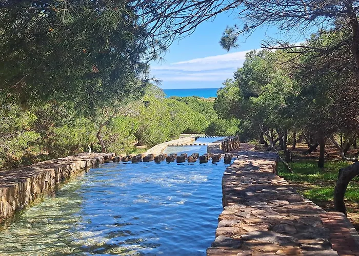 Paradiso De Playa Lamata 아파트 *